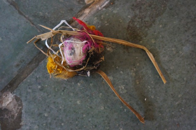 detritus #2