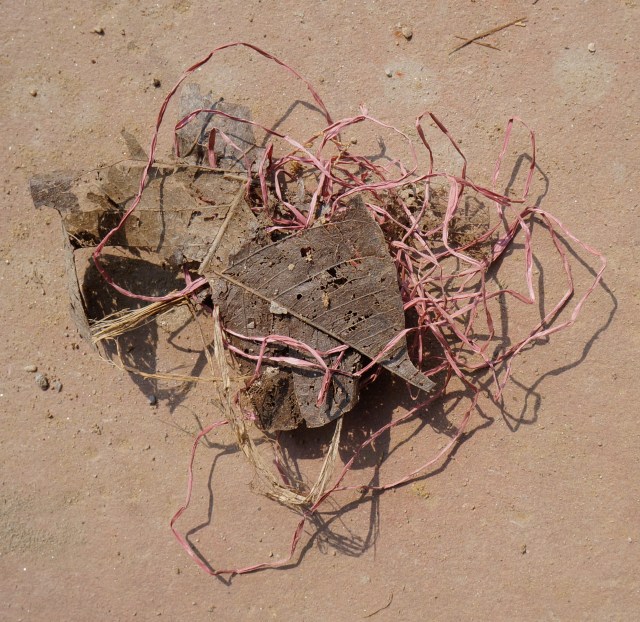 detritus #3