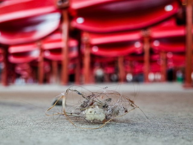 assemblage at Millennium Park